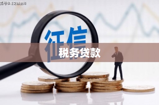 沈丘税务贷款