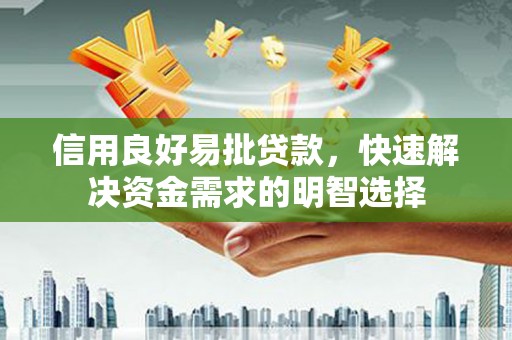 沈丘信用良好易批贷款，快速解决资金需求的明智选择