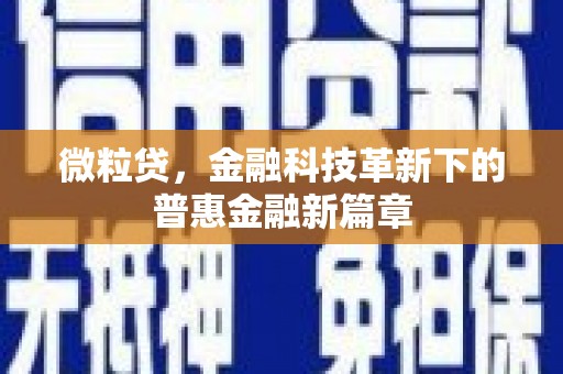 沈丘微粒贷，金融科技革新下的普惠金融新篇章