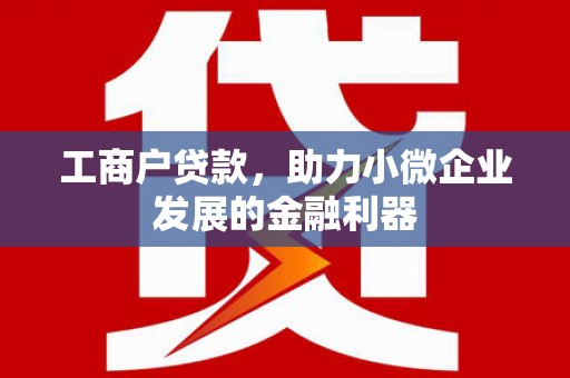 沈丘工商户贷款，助力小微企业发展的金融利器