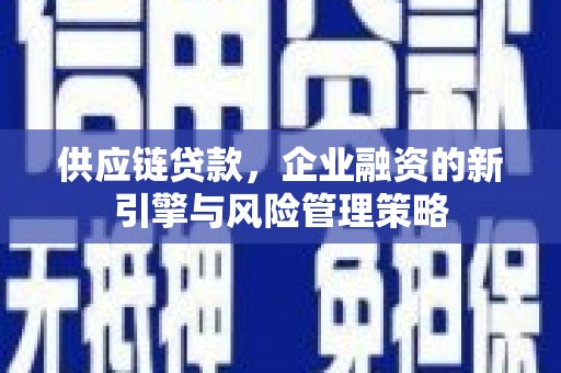 沈丘供应链贷款，企业融资的新引擎与风险管理策略