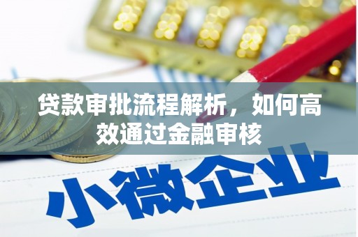 沈丘贷款审批流程解析，如何高效通过金融审核