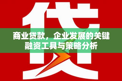 沈丘商业贷款，企业发展的关键融资工具与策略分析