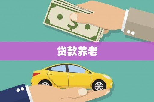 沈丘贷款养老