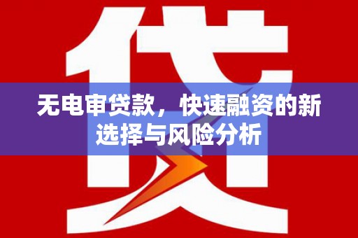 沈丘无电审贷款，快速融资的新选择与风险分析