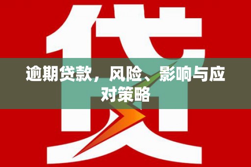 沈丘逾期贷款，风险、影响与应对策略
