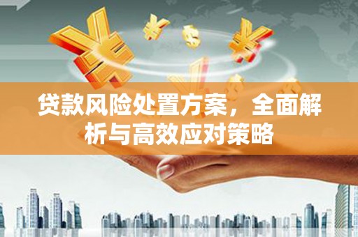 沈丘贷款风险处置方案，全面解析与高效应对策略