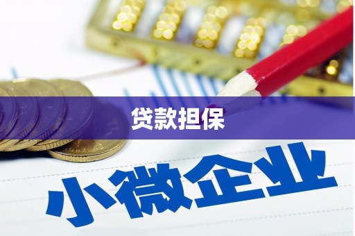 沈丘贷款担保