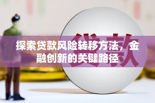 沈丘探索贷款风险转移方法，金融创新的关键路径