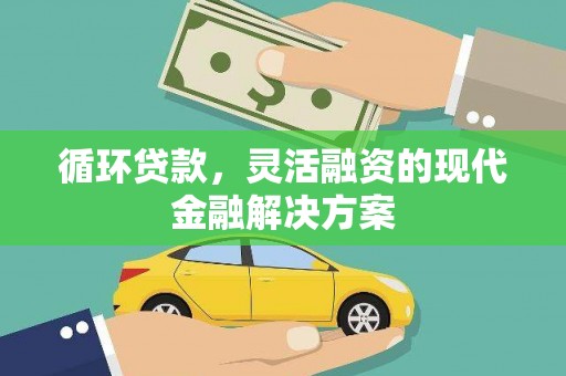 沈丘循环贷款，灵活融资的现代金融解决方案