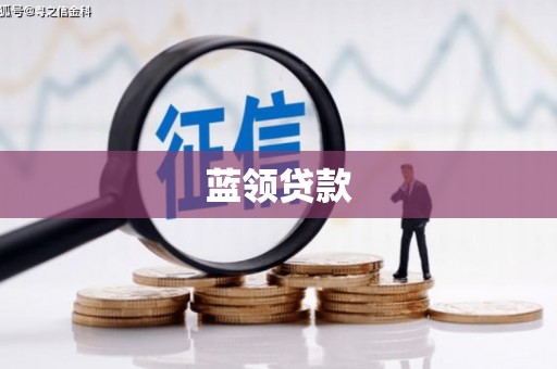 沈丘蓝领贷款
