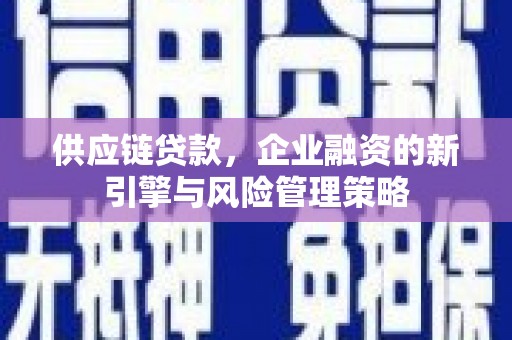 沈丘供应链贷款，企业融资的新引擎与风险管理策略