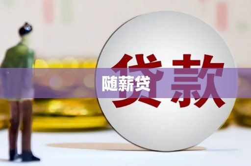沈丘随薪贷