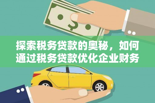 沈丘探索税务贷款的奥秘，如何通过税务贷款优化企业财务