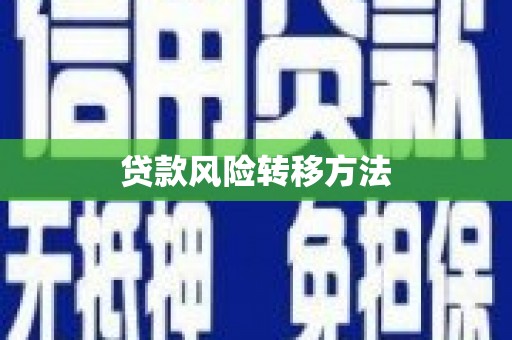 沈丘贷款风险转移方法