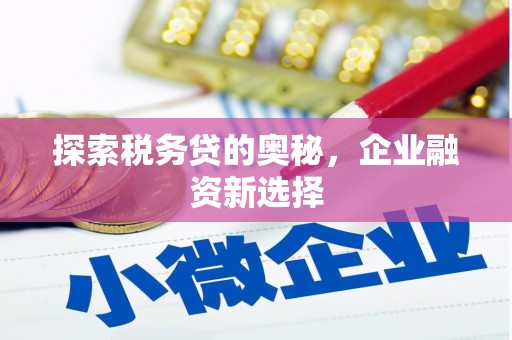 沈丘探索税务贷的奥秘，企业融资新选择