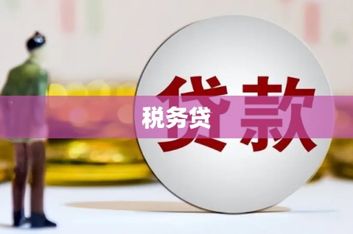 沈丘税务贷