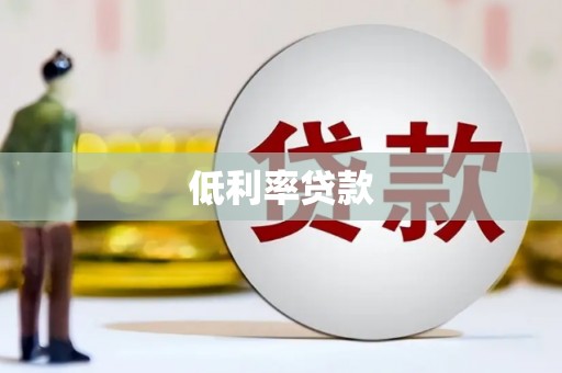 沈丘低利率贷款