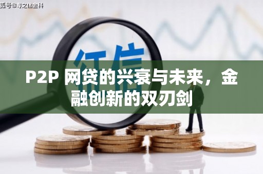 沈丘P2P 网贷的兴衰与未来，金融创新的双刃剑