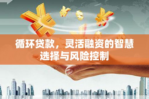 沈丘循环贷款，灵活融资的智慧选择与风险控制