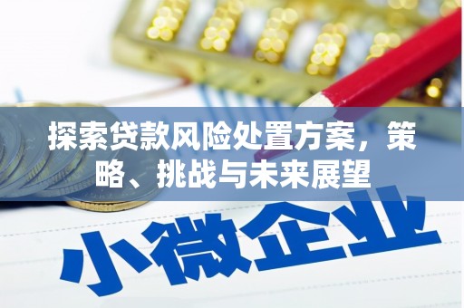 沈丘探索贷款风险处置方案，策略、挑战与未来展望