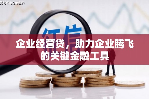 沈丘企业经营贷，助力企业腾飞的关键金融工具