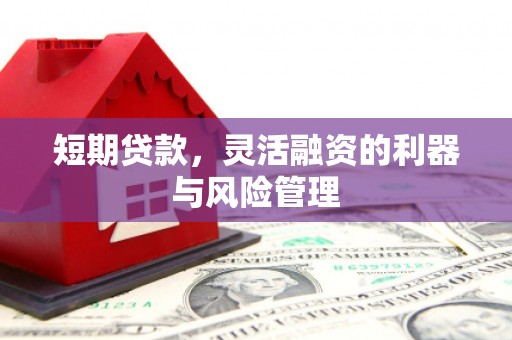 沈丘短期贷款，灵活融资的利器与风险管理