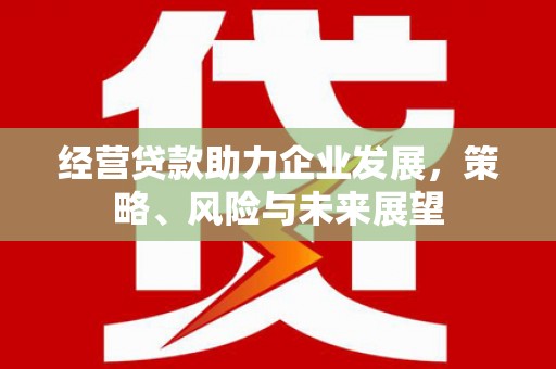 沈丘经营贷款助力企业发展，策略、风险与未来展望