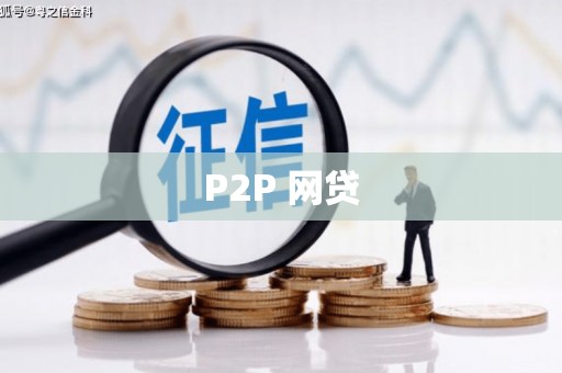 沈丘P2P 网贷