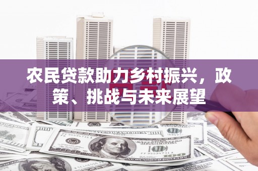 沈丘农民贷款助力乡村振兴，政策、挑战与未来展望