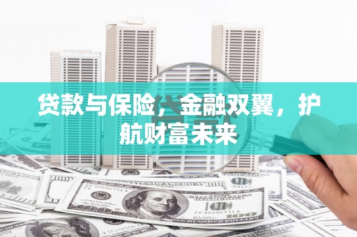 沈丘贷款与保险，金融双翼，护航财富未来