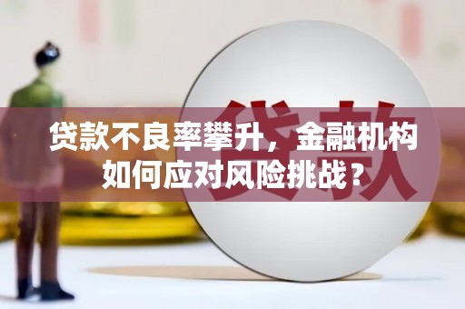沈丘贷款不良率攀升，金融机构如何应对风险挑战？
