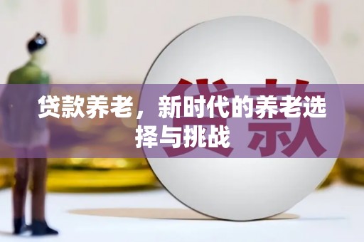沈丘贷款养老，新时代的养老选择与挑战