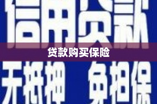 沈丘贷款购买保险