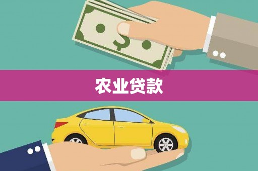 沈丘农业贷款