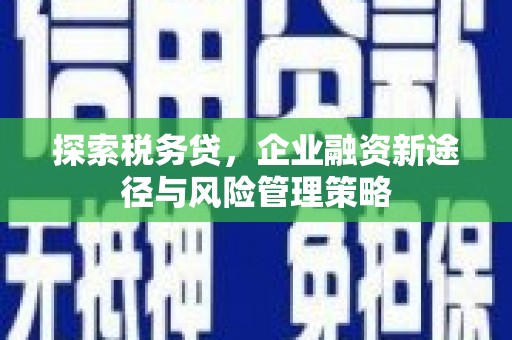 沈丘探索税务贷，企业融资新途径与风险管理策略