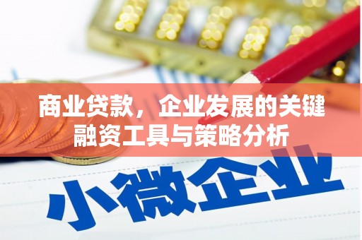 沈丘商业贷款，企业发展的关键融资工具与策略分析