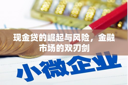 沈丘现金贷的崛起与风险，金融市场的双刃剑