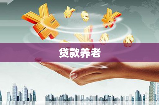 沈丘贷款养老