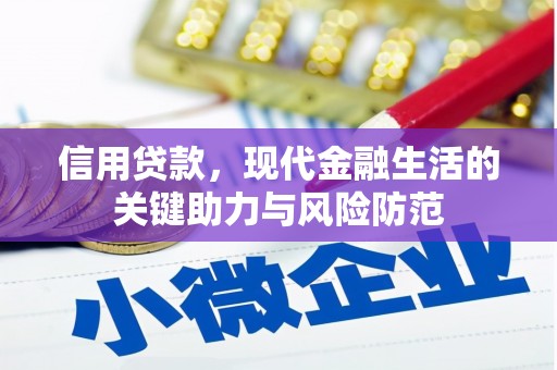沈丘信用贷款，现代金融生活的关键助力与风险防范