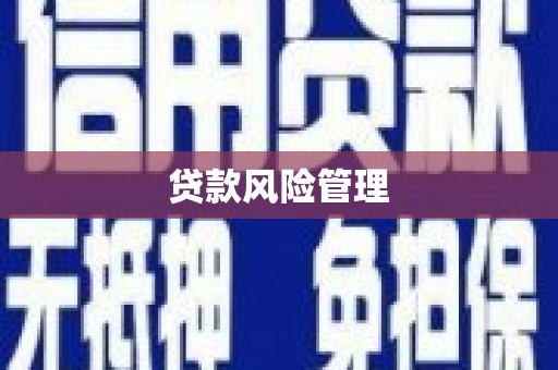 沈丘贷款风险管理