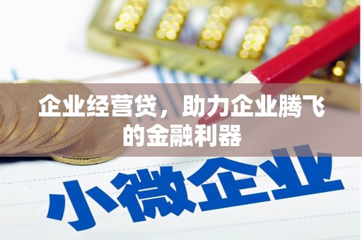 沈丘企业经营贷，助力企业腾飞的金融利器