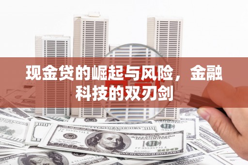 沈丘现金贷的崛起与风险，金融科技的双刃剑