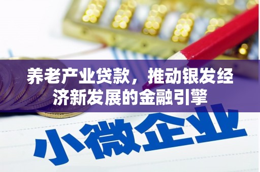 沈丘养老产业贷款，推动银发经济新发展的金融引擎