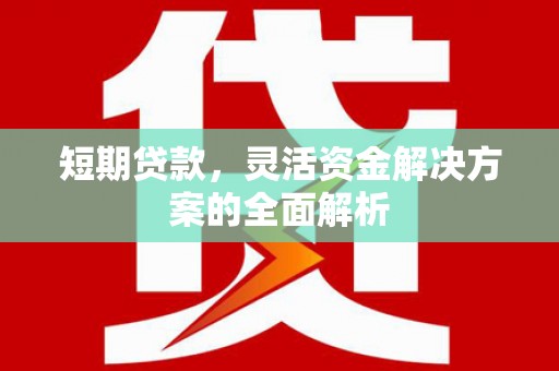 沈丘短期贷款，灵活资金解决方案的全面解析