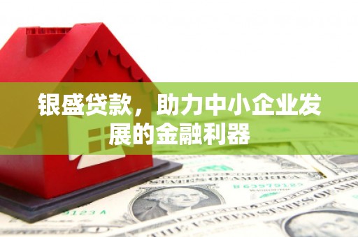 沈丘银盛贷款，助力中小企业发展的金融利器