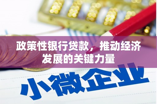沈丘政策性银行贷款，推动经济发展的关键力量