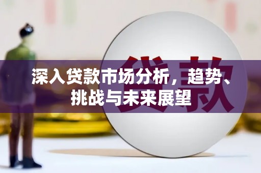沈丘深入贷款市场分析，趋势、挑战与未来展望