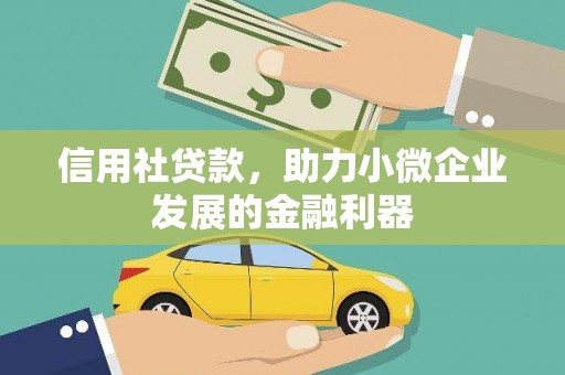 沈丘信用社贷款，助力小微企业发展的金融利器