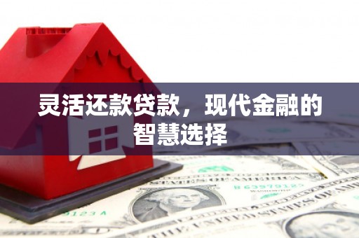沈丘灵活还款贷款，现代金融的智慧选择